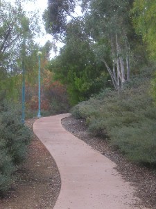 Walkway from Meanley Drive to the Library