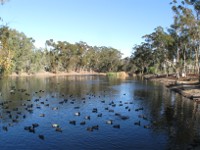 Evans Pond