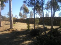 The Meanley Wall