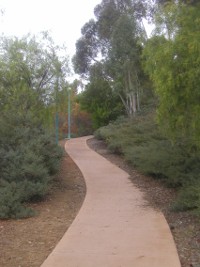 Path to the Scripps Miramar Ranch Library Center